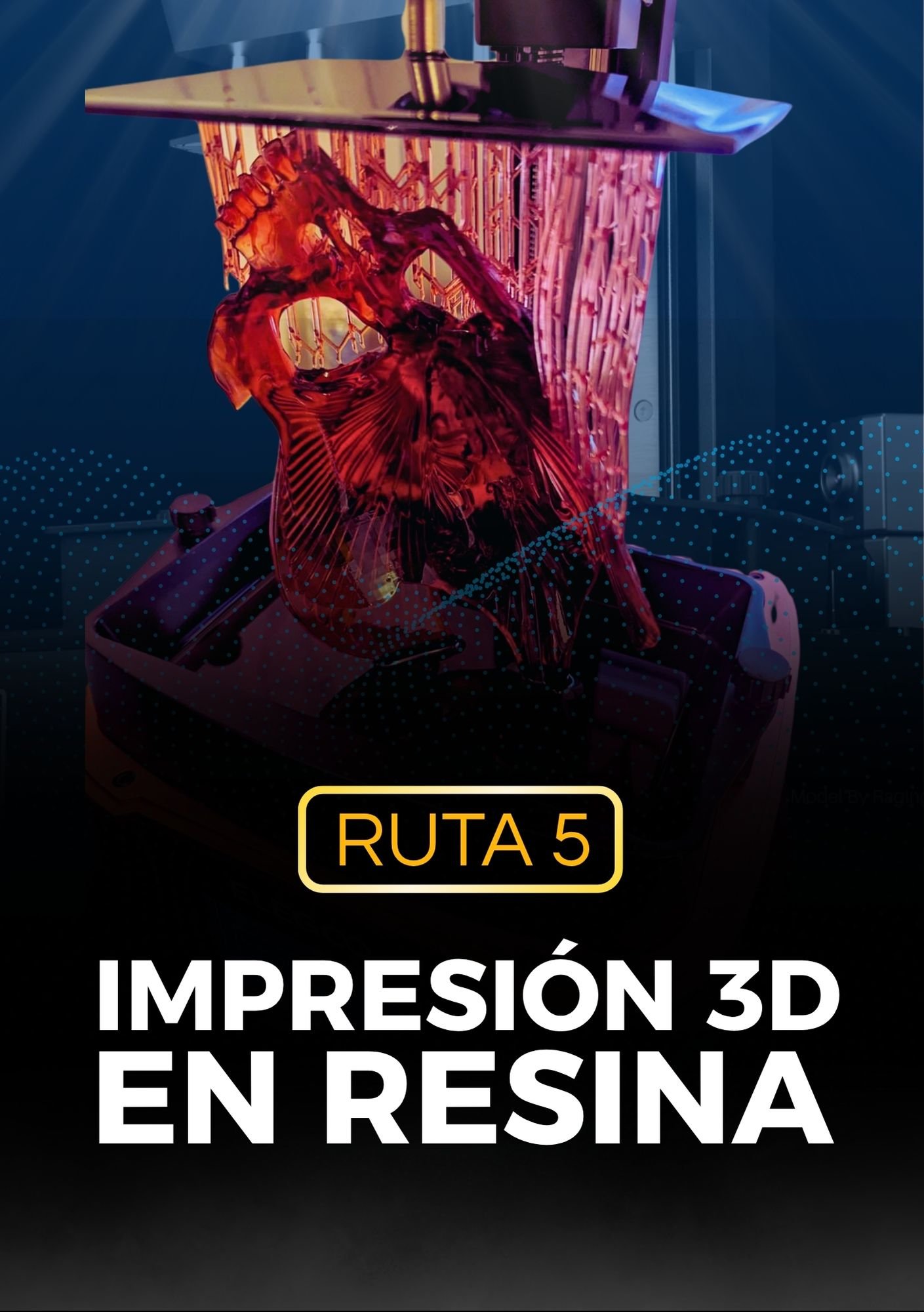 RUTA 5