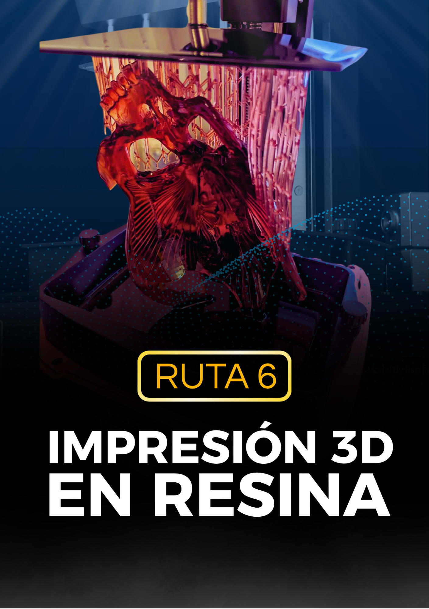Ruta6