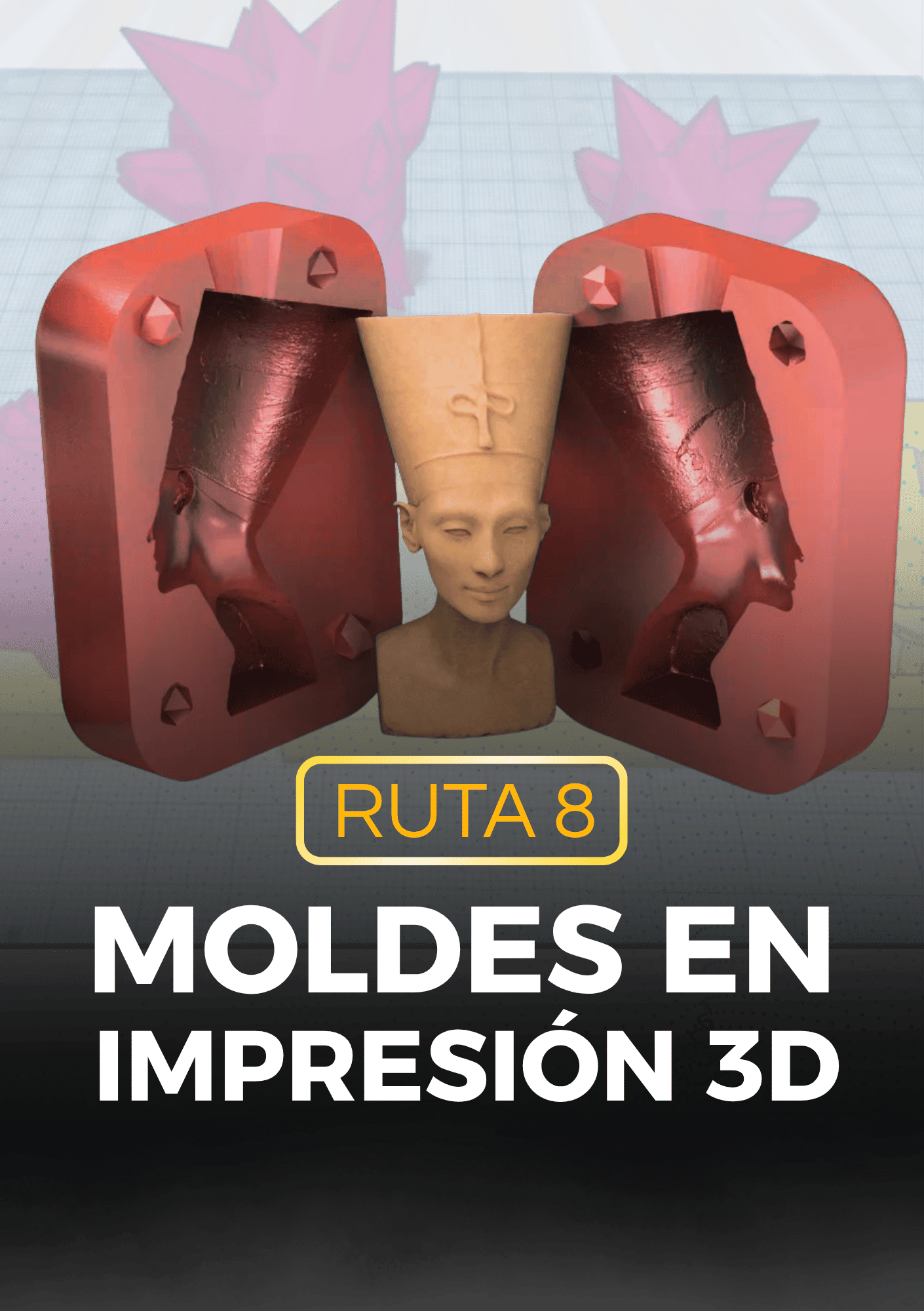 Ruta8
